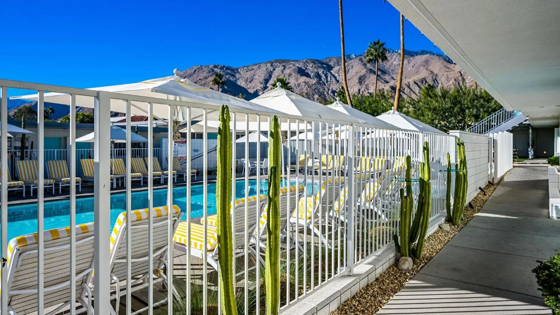 The Skylark, A Palm Springs Hotel