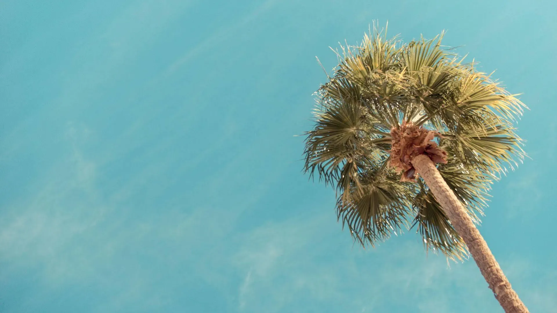 The Skylark, A Palm Springs Hotel