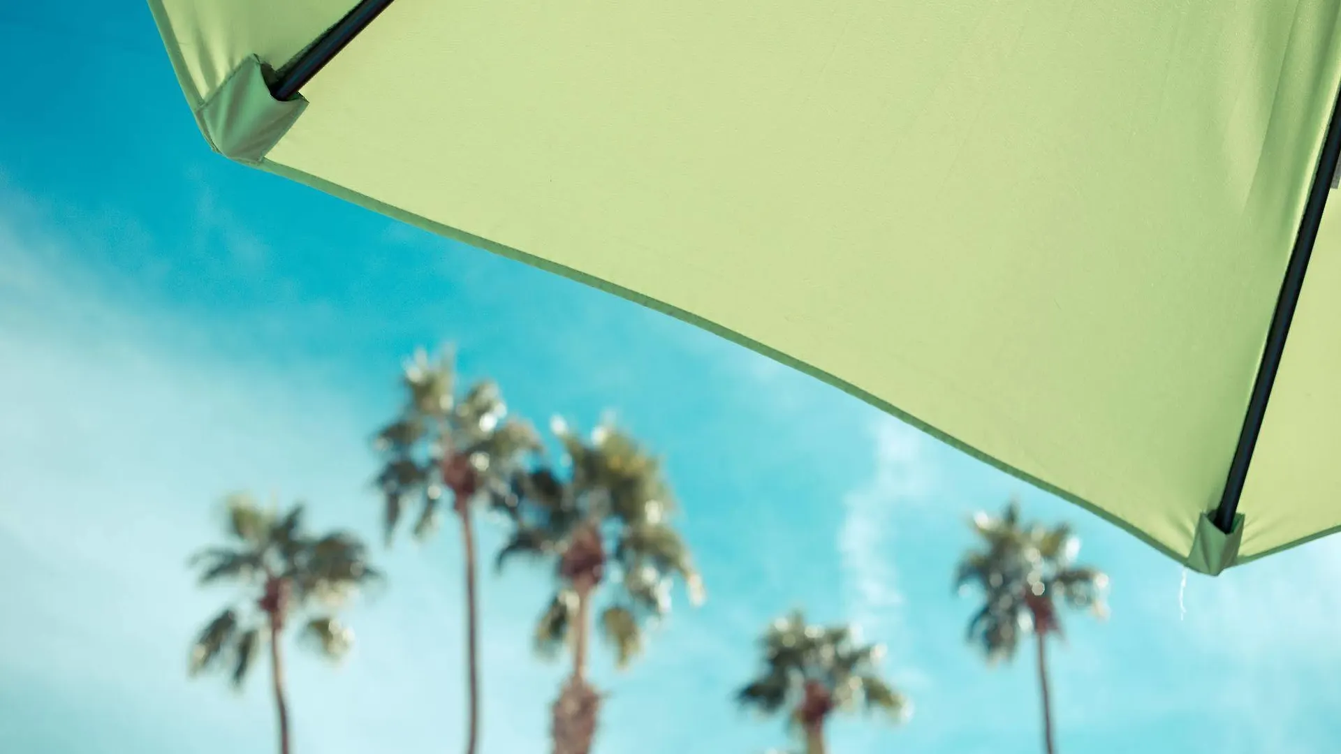The Skylark, A Palm Springs Hotel